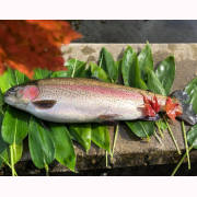 ニジマス界の頂点を目指す鱒 頂鱒の柵どり 生食用