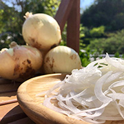 1年で1度だけの感動の甘さ！早採りサラダ玉ねぎ5kg【出荷時期：3月中旬より／販売期間：1月下旬から5月2日まで】