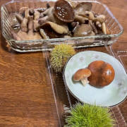 ラクヨウ塩漬け【出荷時期：10月上旬より / 販売時期：1月31日まで】