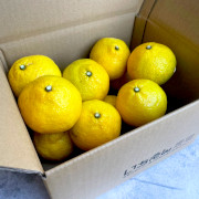 農薬・化学肥料不使用　はるか3kg