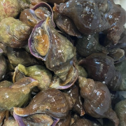 三陸産青つぶ貝　500g　冷凍