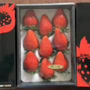 大粒いちご贈答用黒化粧箱　品種-あきひめ【販売期間：5月下旬頃まで】【他品番との同時購入不可】