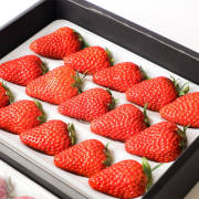 うずしおべりー【出荷時期：12月下旬より順次出荷 / 販売時期：3月1日まで】
