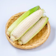 奥州ペルル 5本※他品番との同時購入不可【出荷時期：7月上旬より順次】【販売期間：8月上旬頃まで】