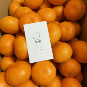 【訳あり】『3つの太陽』を浴びて育つ、温州みかん　南柑20号 5kg（他商品との同時購入不可）【出荷時期：12月中旬より】