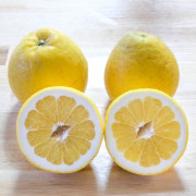 爽やかジューシー果実！河内晩柑（愛南ゴールド）家庭2kg【出荷時期：4月中旬より / 販売時期：8月31日まで】