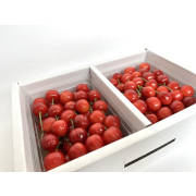 山形特産さくらんぼ「佐藤錦」秀 1kg（L以上）【他品番との同時注文不可】【出荷時期:6月中旬より / 販売期間:６月上旬まで】
