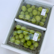 【TUBU】シャインマスカット（500g×2P）【他品番との同時注文不可】【出荷時期:9月上旬より/販売期間10月中旬頃まで】