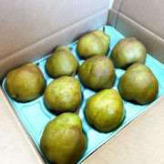 「ラ・フランス」家庭用3kg（他品番との同時注文不可）【出荷時期：10月下旬より / 販売期間：12月上旬頃まで】
