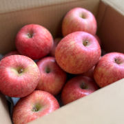 【訳あり】サンふじ家庭用 5kg（他商品との同時注文不可）【出荷時期：11月下旬より / 販売期間：1月中旬頃まで】