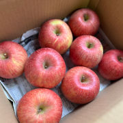 【訳あり】サンふじ家庭用 3kg（他商品との同時注文不可）【出荷時期：11月下旬より / 販売期間：1月中旬頃まで】