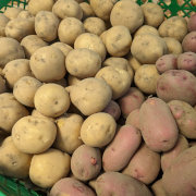 じゃが・たま・にんじん+季節の野菜２品、スパイス野菜1品セット（農薬化学肥料不使用）