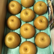 【家庭用】品種おまかせ　なまはげからの贈り物　梨5kg（他品番との同時注文不可）【出荷時期:9月中旬より順次】