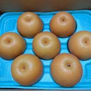 【訳あり】男鹿梨「豊水」家庭用３ｋｇ【出荷時期:9月中旬より順次 / 販売期間:10月中旬まで】【他品番との同時注文不可】