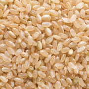 令和7年産　 須賀川の自然が育てたコシヒカリ玄米10kg（1回の注文上限20kgまで）