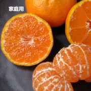 【家庭用】濃厚な味わい旬のちえみかん10kg（他品番との同時購入不可）【出荷時期：12月上旬より 順次】