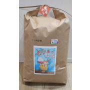 令和7年産　昔ながらの天日干し　特別栽培米ひとめぼれ10kg（1回の注文は20kgまで）