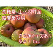 【訳ありキズ品】特別栽培 / ネオニコ系農薬不使用！皮まで美味しい葉とらず サンふじ 5kg(他品番との同時購入不可）