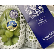 【贈答用】シャインマスカット２房  (化粧箱入り)　※他商品との同時購入不可【出荷時期:10月上旬より/販売期間:11月末頃まで