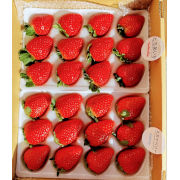 DX大人気とちあいか、高級いちごスカイベリーセット【出荷時期：月旬より / 販売時期：5月31日まで】