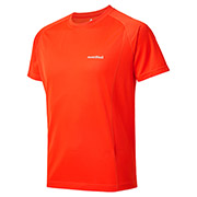 US クールT Men's