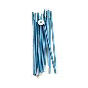 21 クロノス4 ポールセット