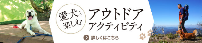 愛犬と楽しむアウトドアアクティビティ