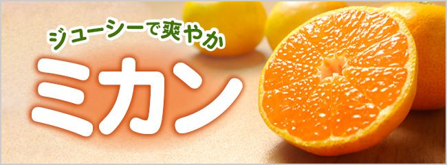 【フレンドマーケット】ミカン