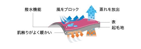 イメージ画像