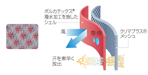 イメージ画像