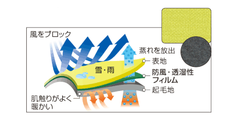 イメージ画像