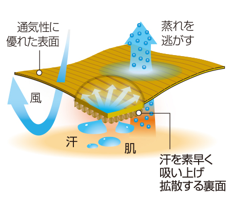 イメージ画像