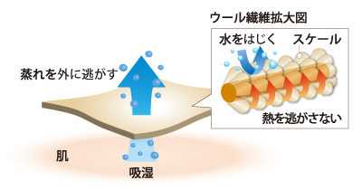イメージ画像