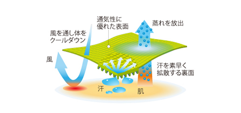イメージ画像