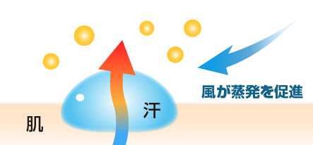 液体は蒸発するときに熱を奪う