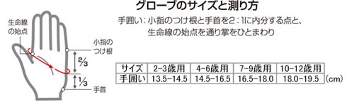 イメージ画像